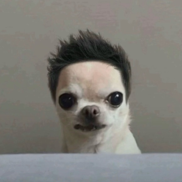 sotomakk